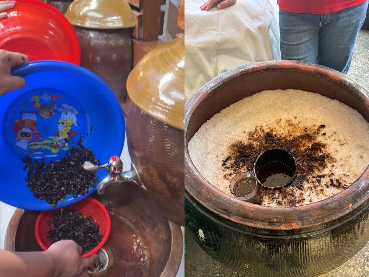 雲林免費觀光工廠|醬油DIY、國軍罐頭免費吃、毛巾蛋糕超好拍!親子一日遊這樣玩